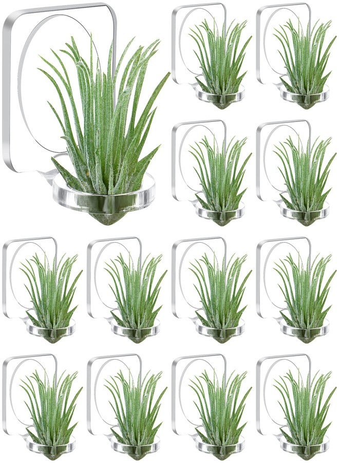 Jetec 12 Pcs Acrylic Air Plants Holder Hanger with Mounting Tape for Hanging Air Plants on Glass Display Home Decoration - Image 1
